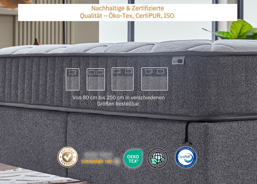 Argaform BOXSPRINGBETT mit Stauraum , 100x200, Grau